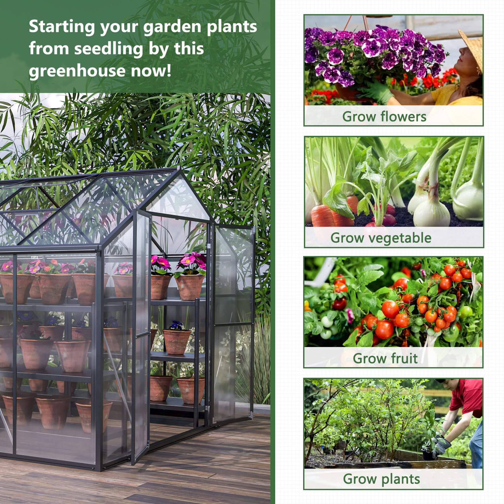 [08X12FT] Large Outdoor Heavy-Duty Polycarbonate Walk-In Greenhouse With Double Swing Doors And Two Ventilation Windows (SAK73651)