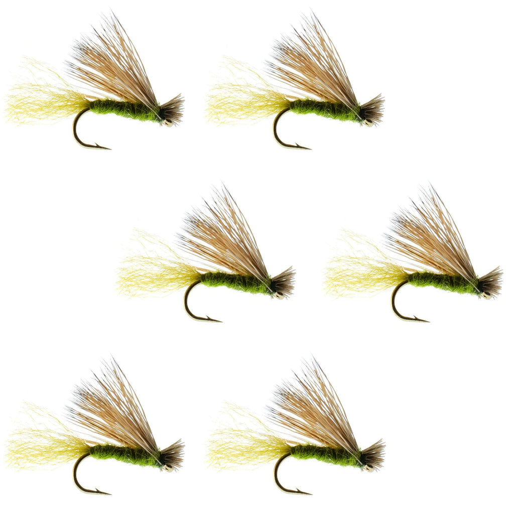 Barbless Olive X Caddis Emerging Caddis Adult Fly - 6 Flies Size 16