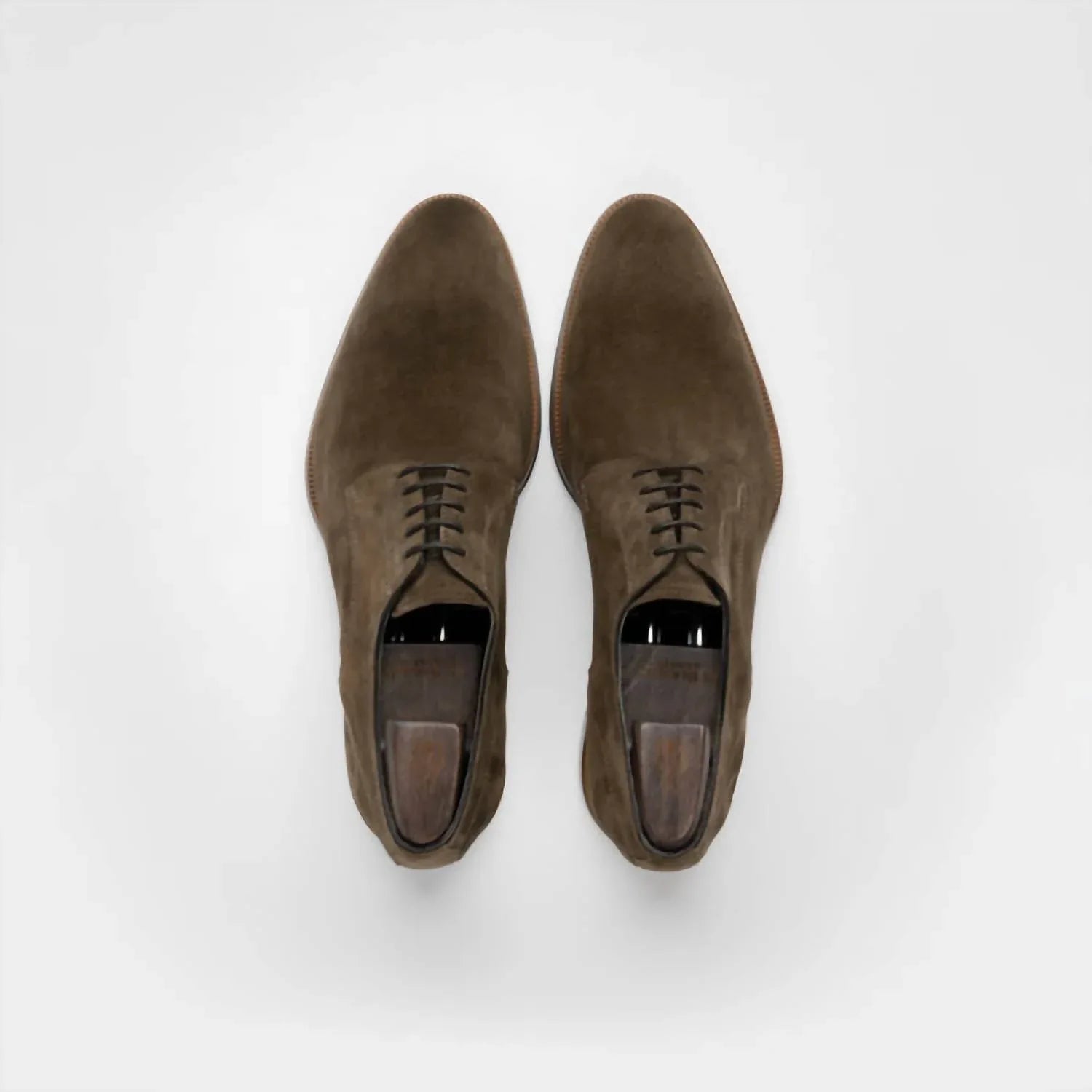 Men's Pisa Suede Derby Shoes