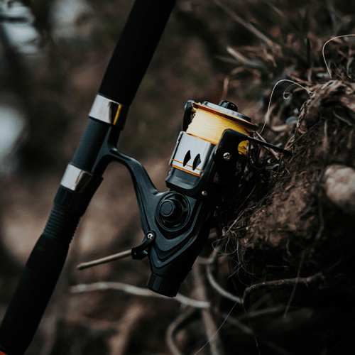 600STS Spinning Reel