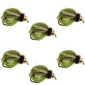 Bead Head LaFontaine Olive Deep Sparkle Caddis Pupa - 6 Flies Hook Size 16