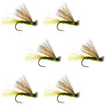 Barbless Olive X Caddis Emerging Caddis Adult Fly - 6 Flies Size 14