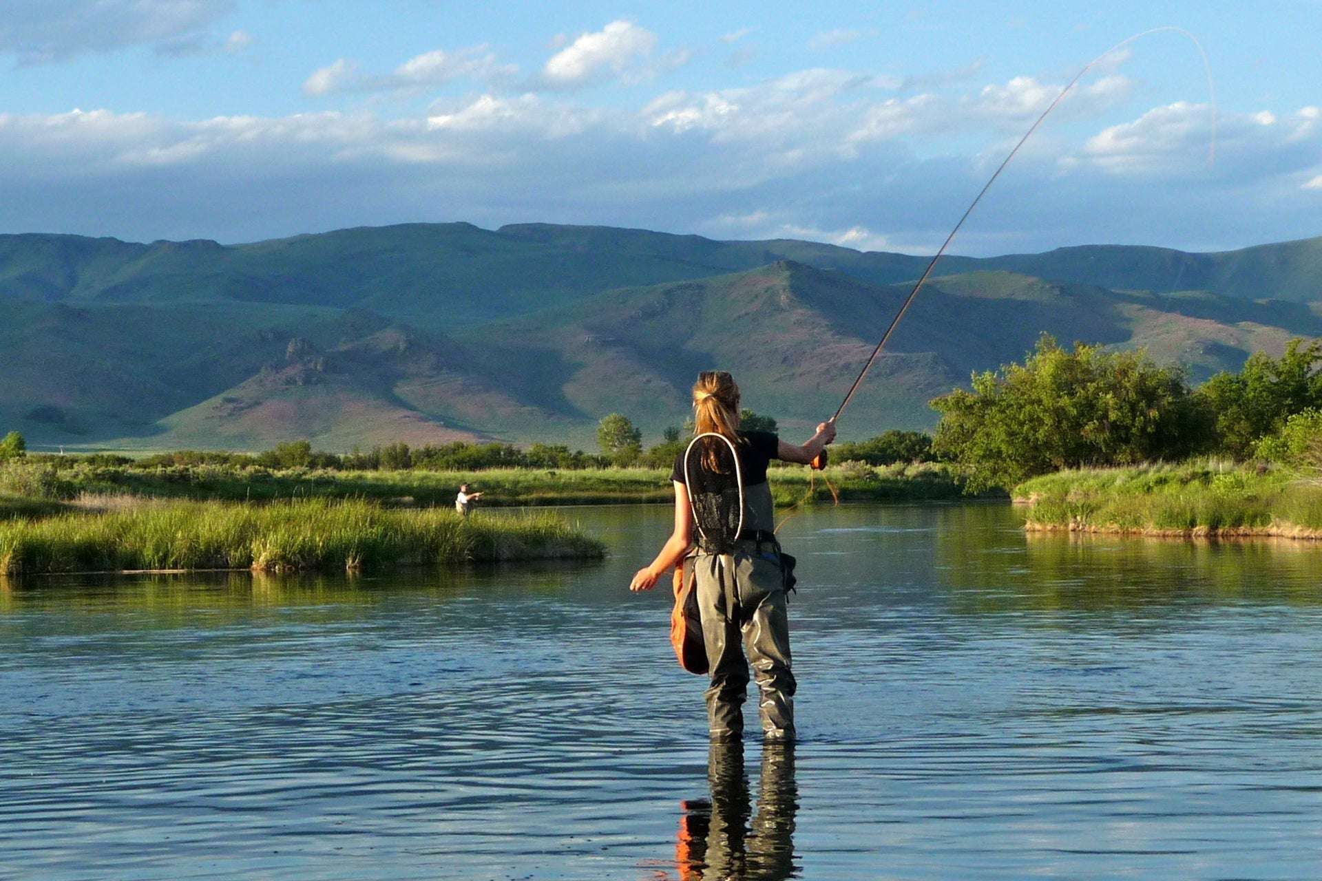 Olive Missing Link Caddis or Mayfly Flies Hook 6 Flies Size 20