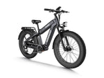 Bicicleta Eléctrica Todoterreno de Doble Batería Himiway D5 Rhino (Plus/Ultra)