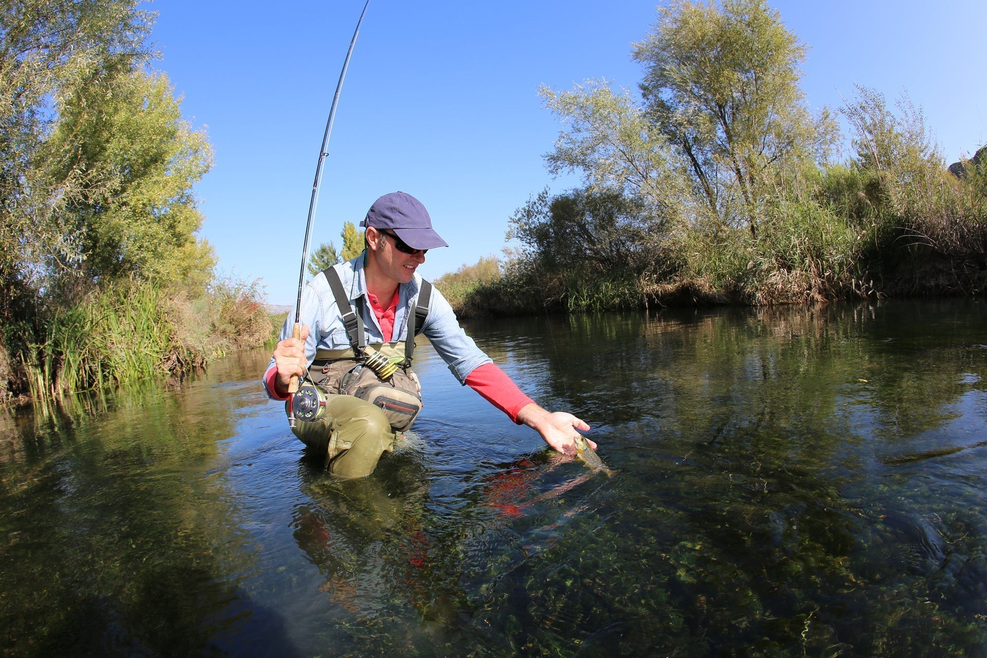 3 Pack Pink Lady Classic Dry Fly - Size 18