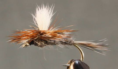 Adams Dry Fly