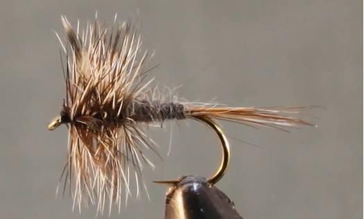 Adams Dry Fly