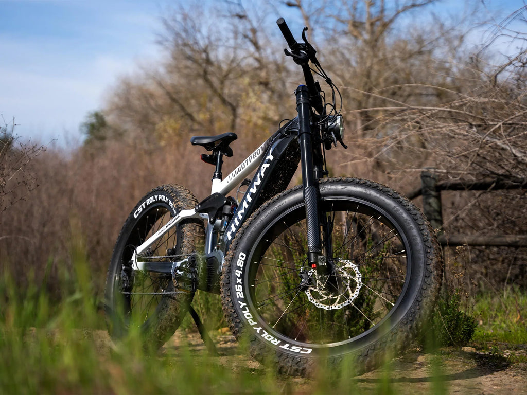 Bicicleta de montaña eléctrica Himiway D7 Pro / Softail