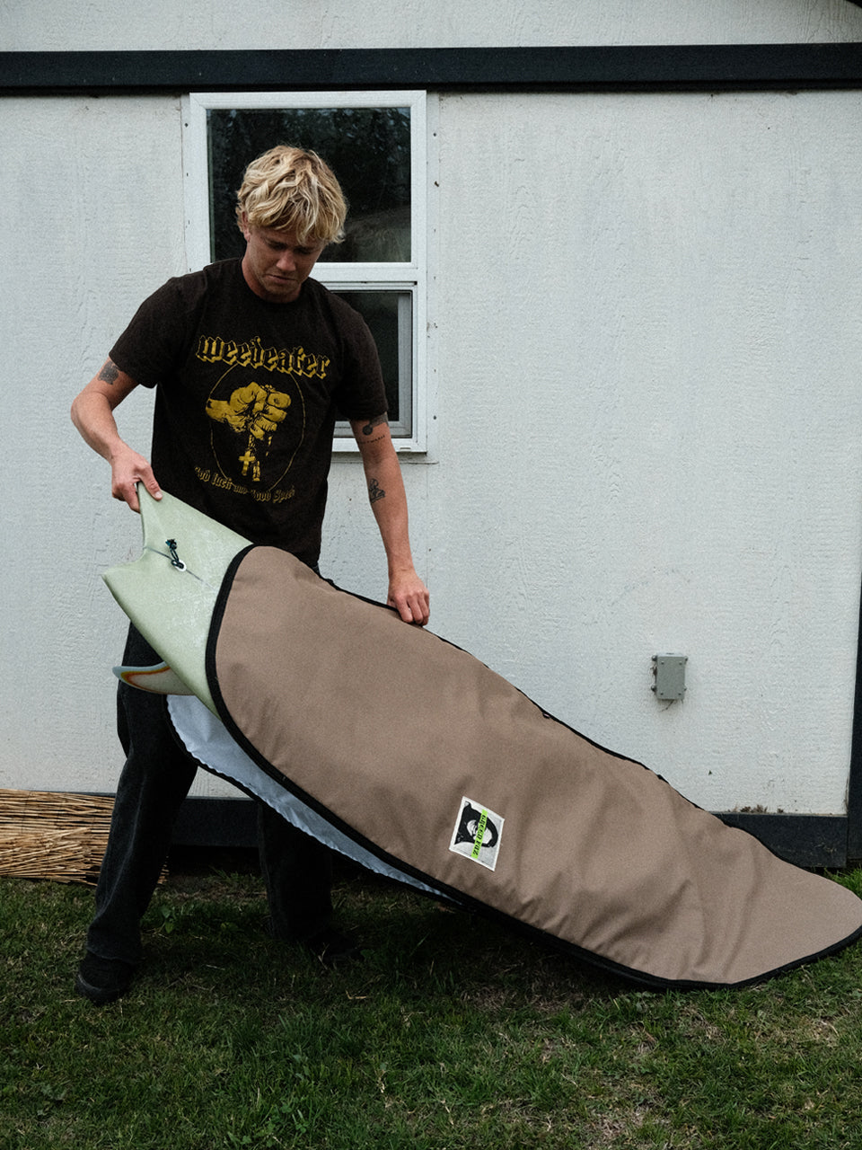 Satellite - Fish/Hybrid