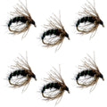 Black Holy Grail Caddis Pupa Emerger 6 Flies Hook Size 16