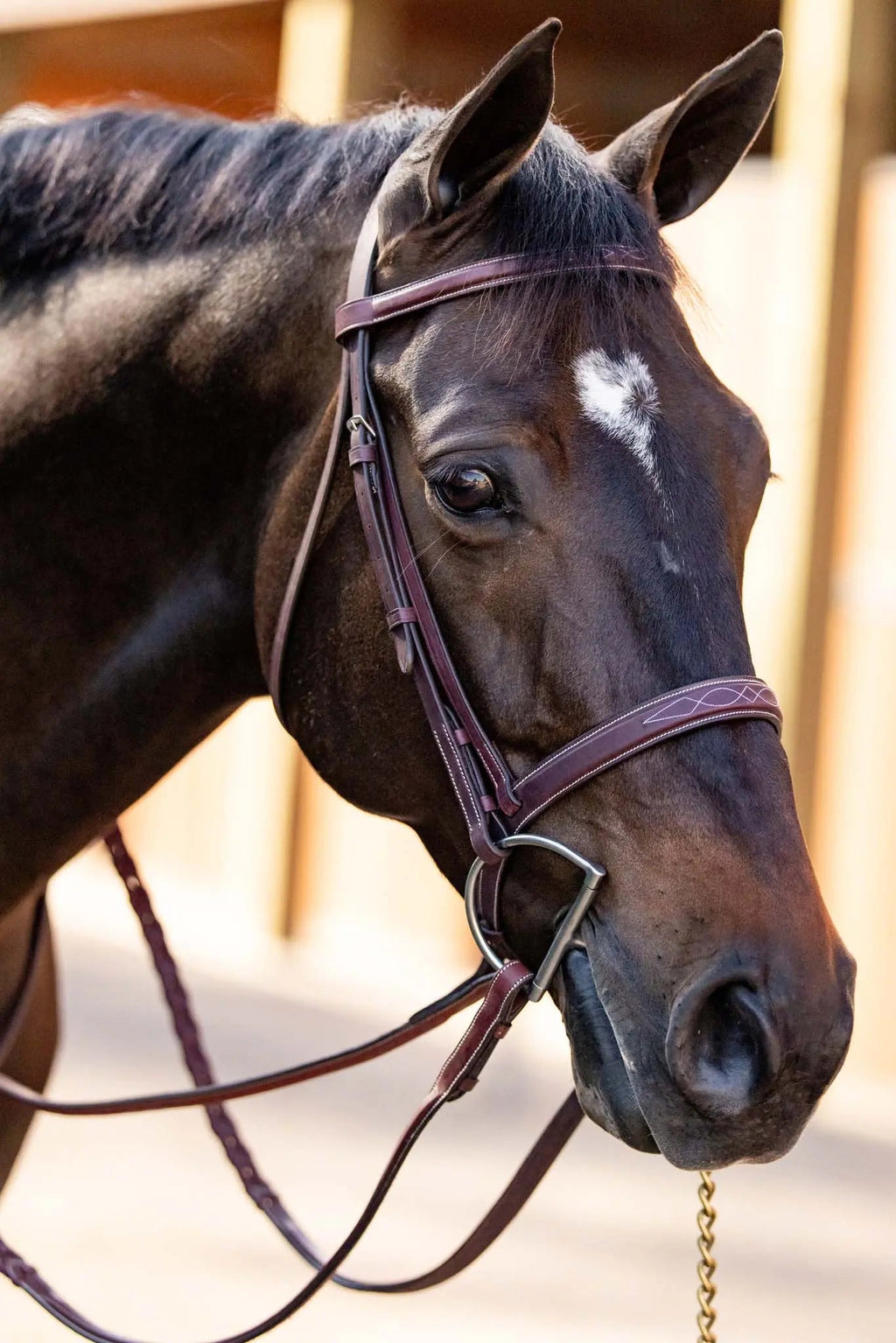 Bridón Huntley Equestrian con Riendas y Costuras Decorativas para Entrenamiento Hunter