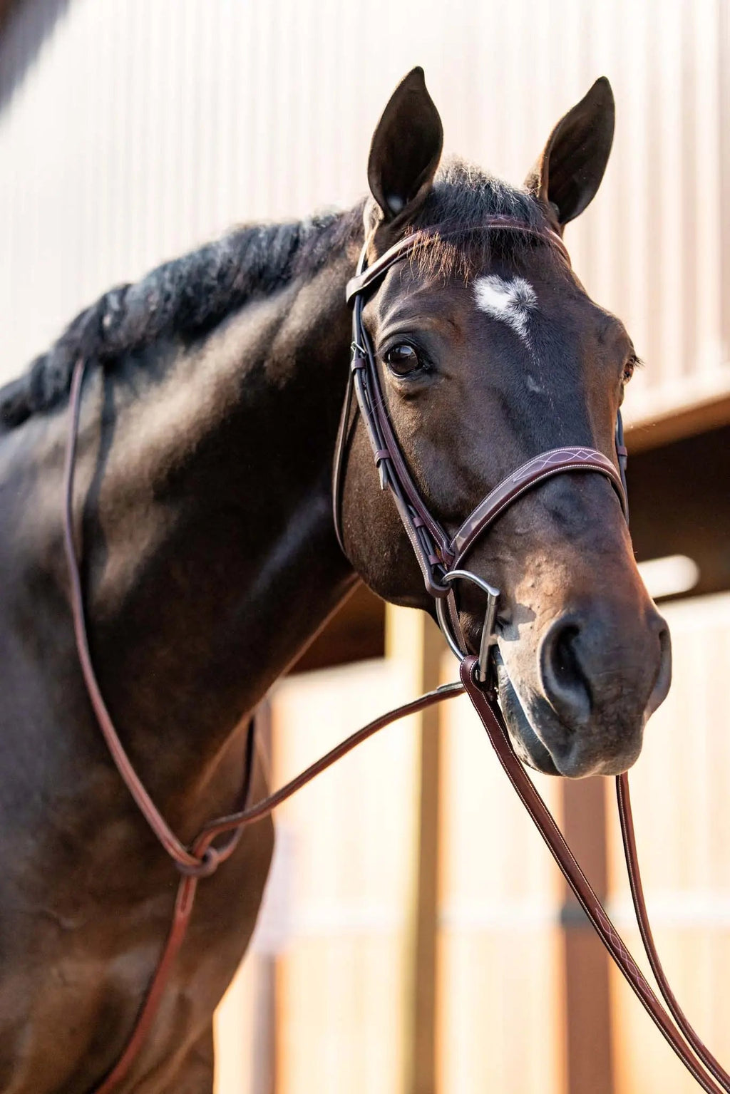 Bridón Huntley Equestrian con Riendas y Costuras Decorativas para Entrenamiento Hunter