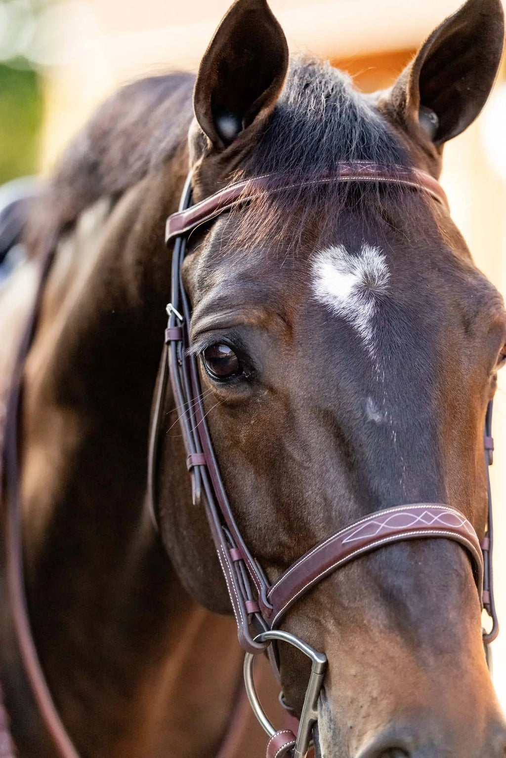 Bridón Huntley Equestrian con Riendas y Costuras Decorativas para Entrenamiento Hunter
