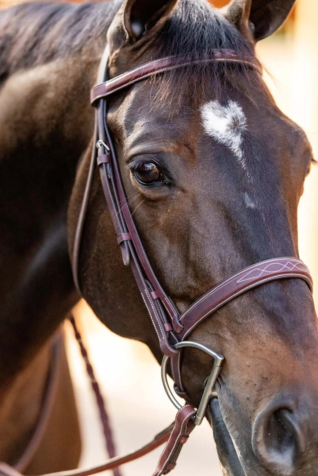 Bridón Huntley Equestrian con Riendas y Costuras Decorativas para Entrenamiento Hunter