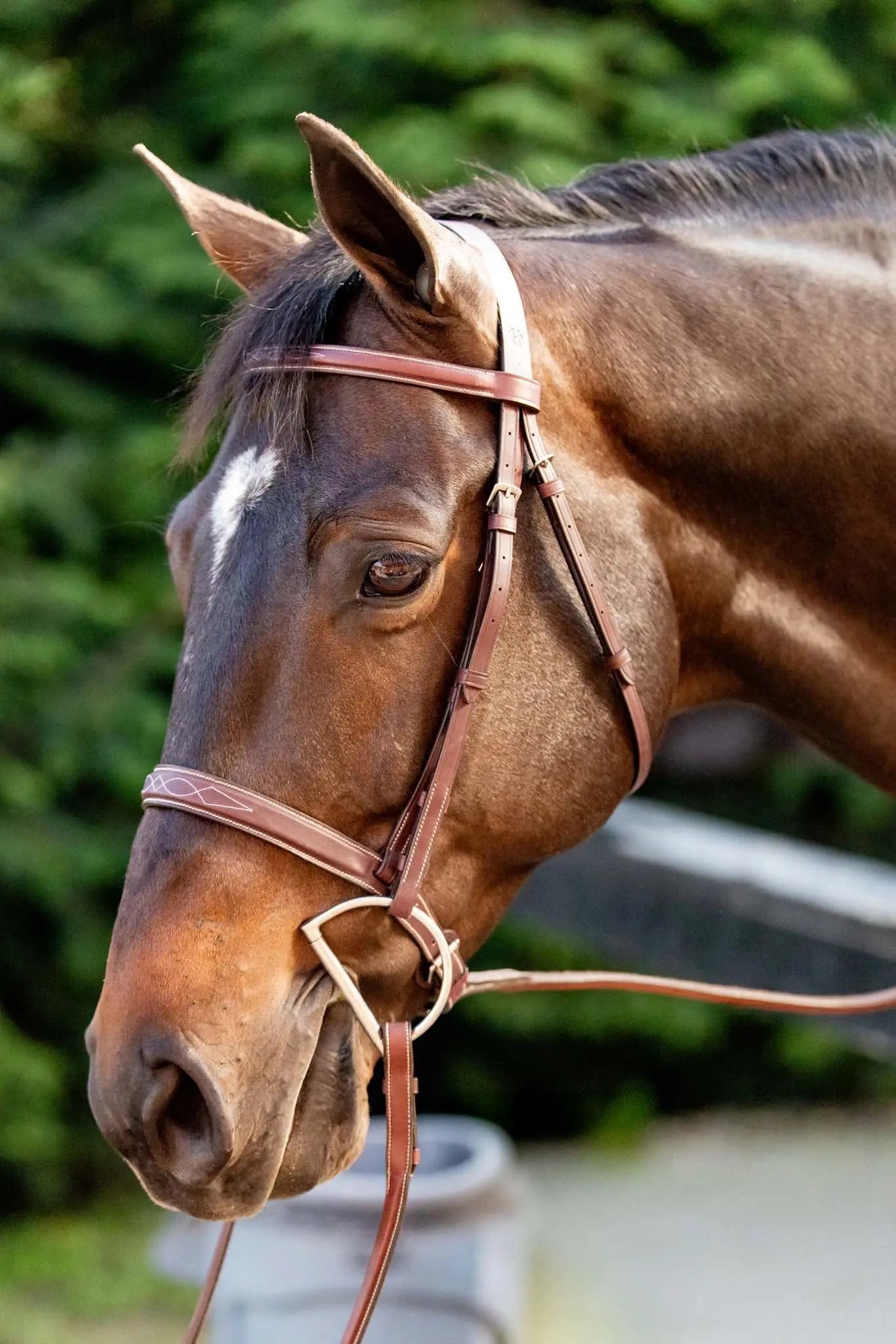 Bridón Huntley Equestrian con Riendas y Costuras Decorativas para Entrenamiento Hunter