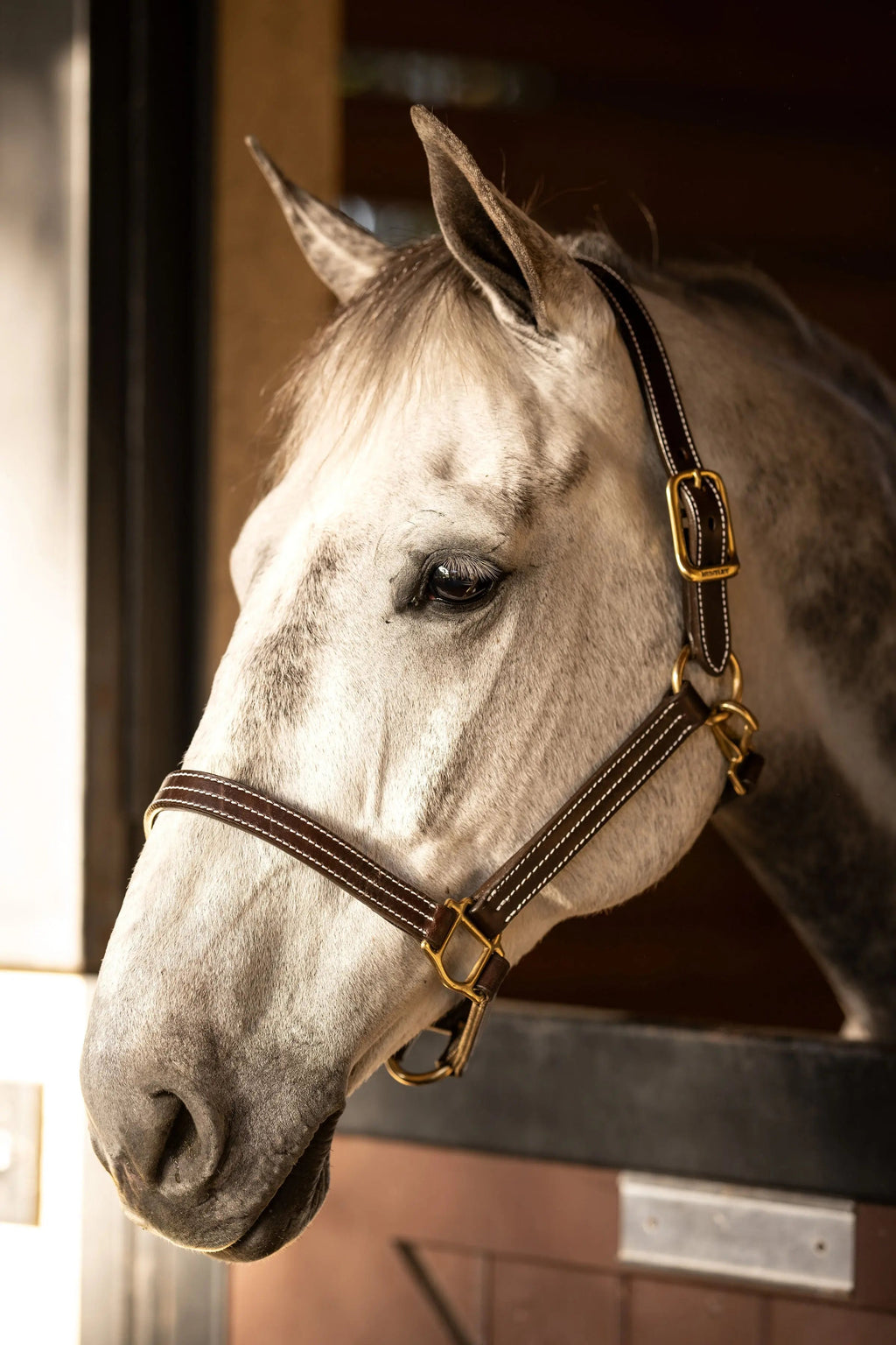 Cabestro Huntley Equestrian de cuero premium con triple costura y mosquetón