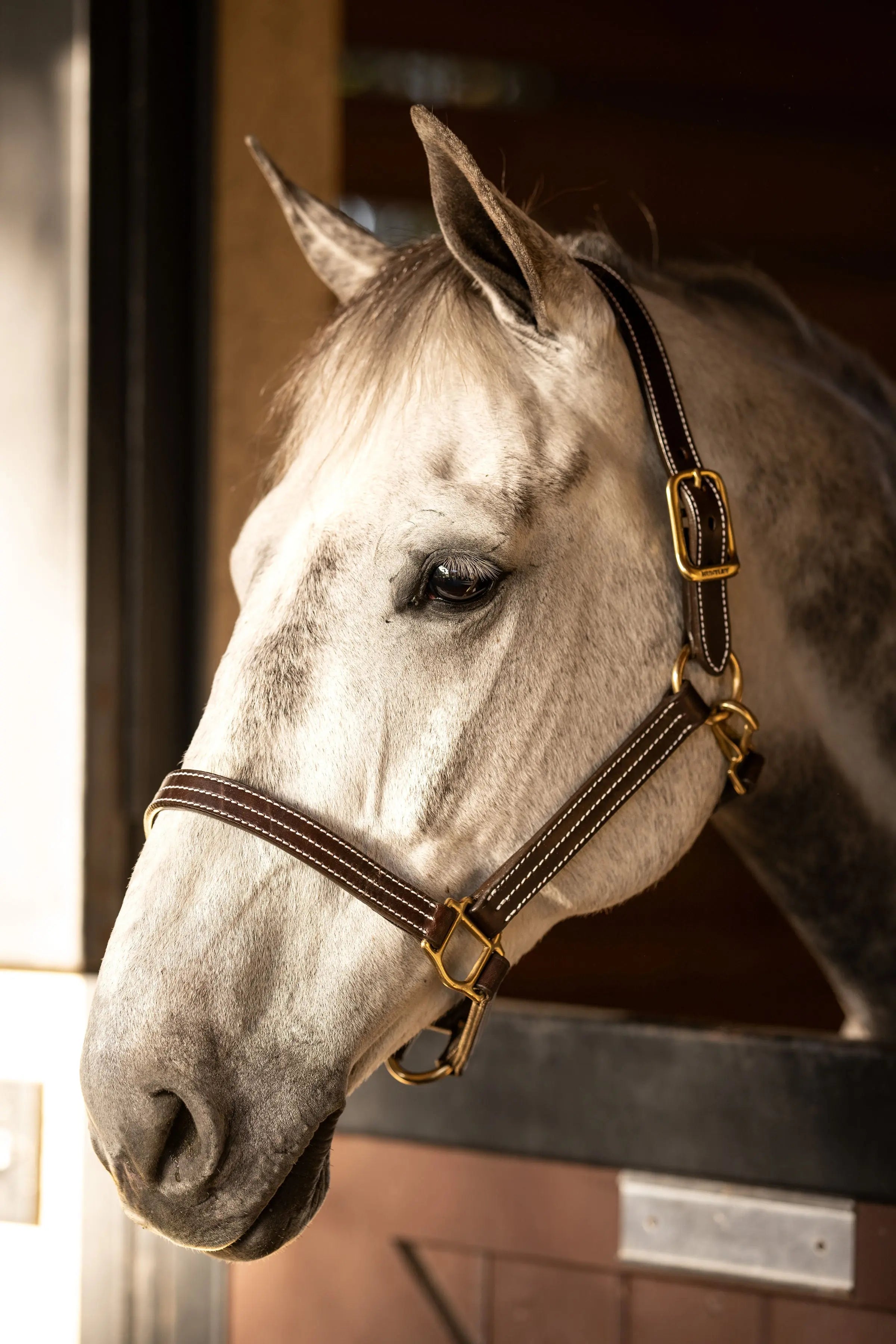 Cabestro Huntley Equestrian de cuero premium con triple costura y mosquetón