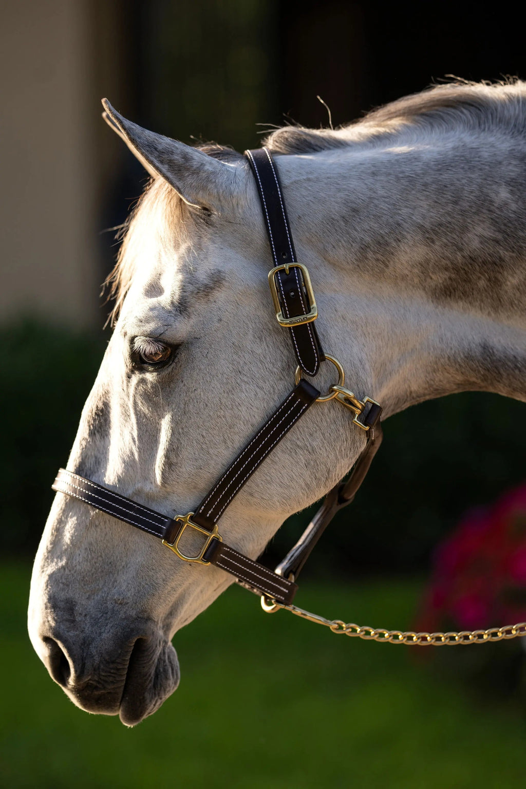 Cabestro Huntley Equestrian de cuero premium con triple costura y mosquetón