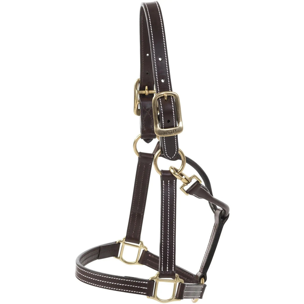 Cabestro Huntley Equestrian de cuero premium con triple costura y mosquetón