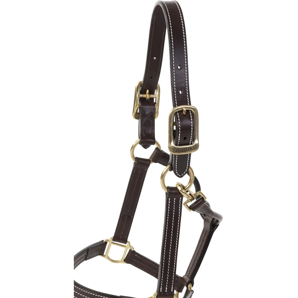 Cabestro Huntley Equestrian de cuero premium con triple costura y mosquetón