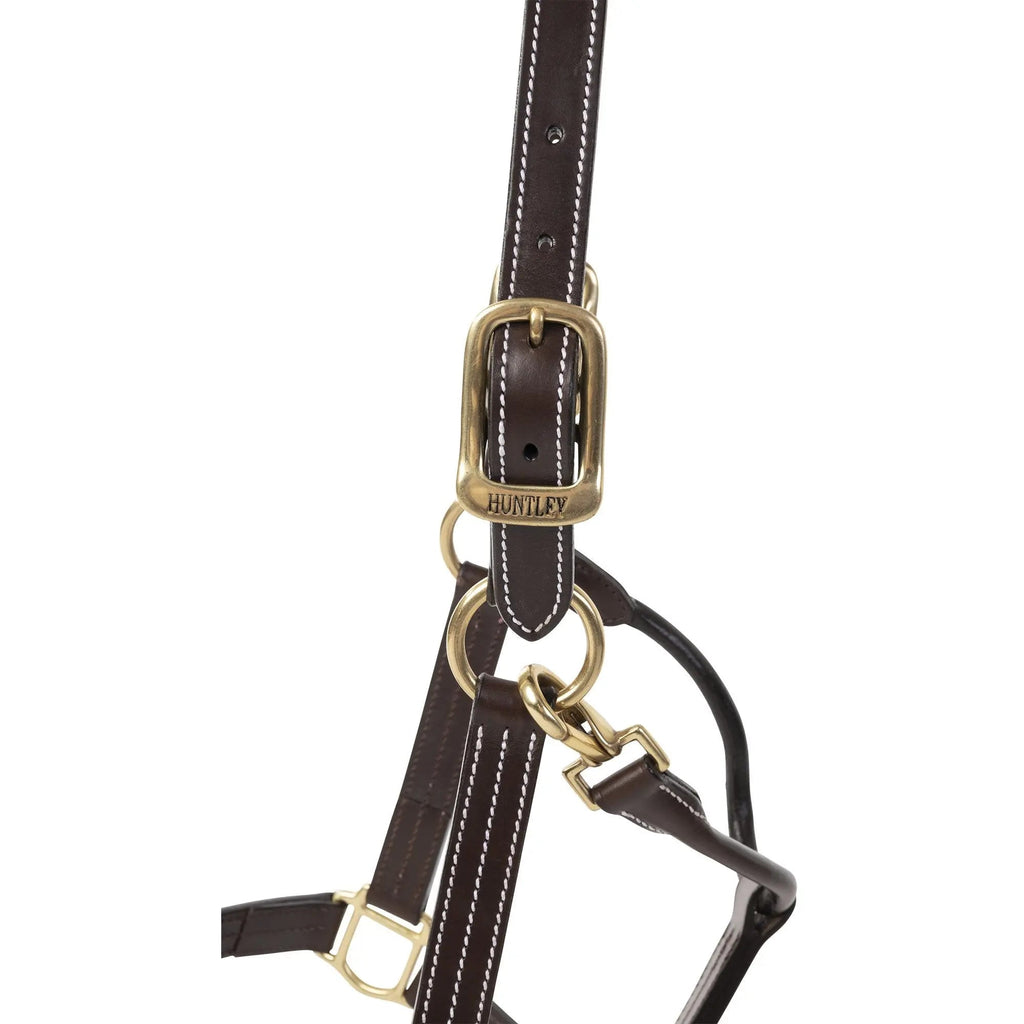 Cabestro Huntley Equestrian de cuero premium con triple costura y mosquetón