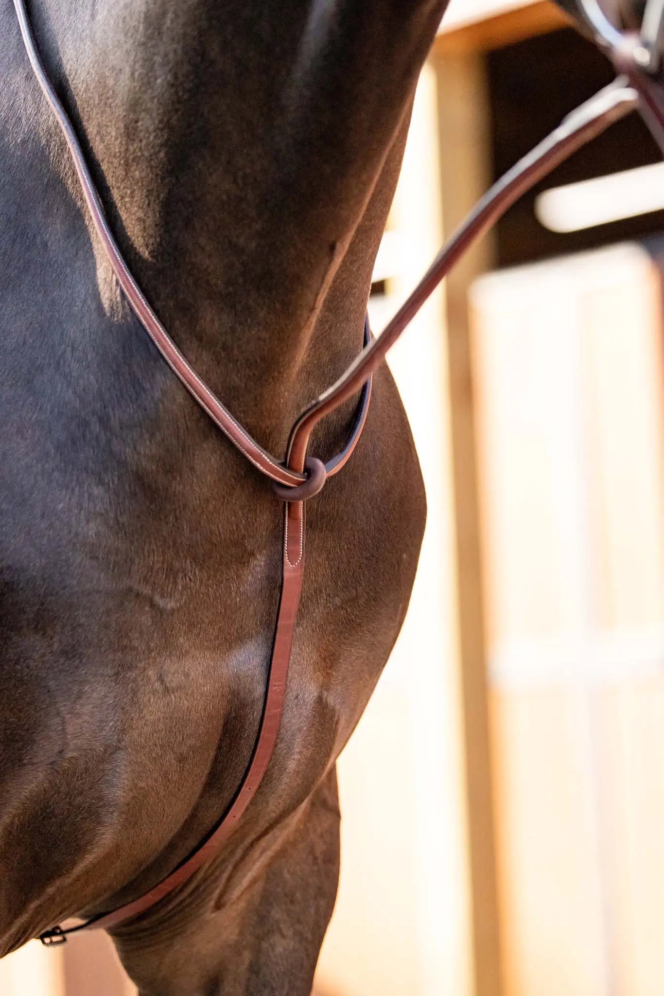 Huntley Equestrian Schooling Standing Martingale, Italian Leather