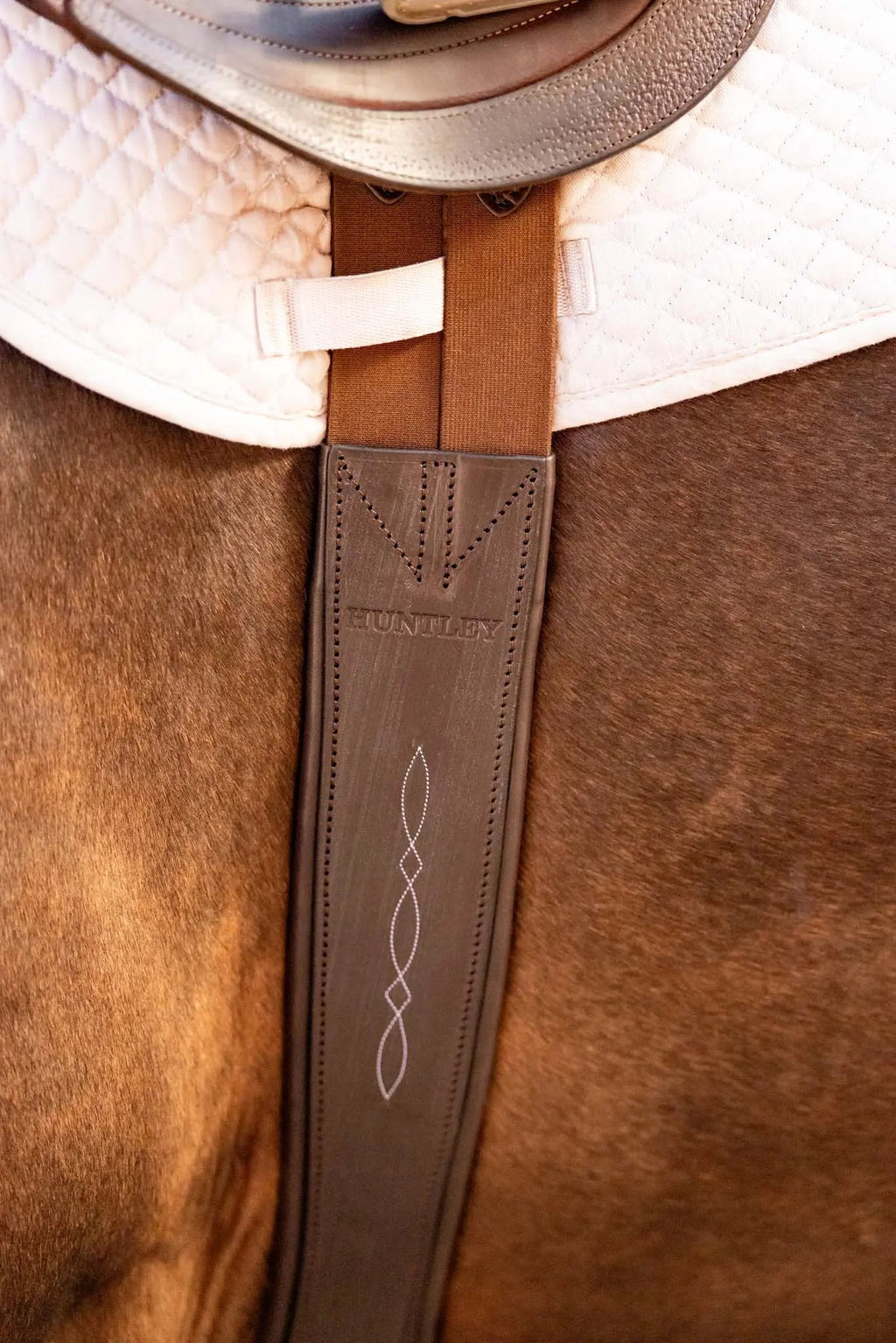 Cincha de cuero Huntley Equestrian Sedgwick con costuras decorativas y acolchada con forma contorneada y elástico en ambos extremos
