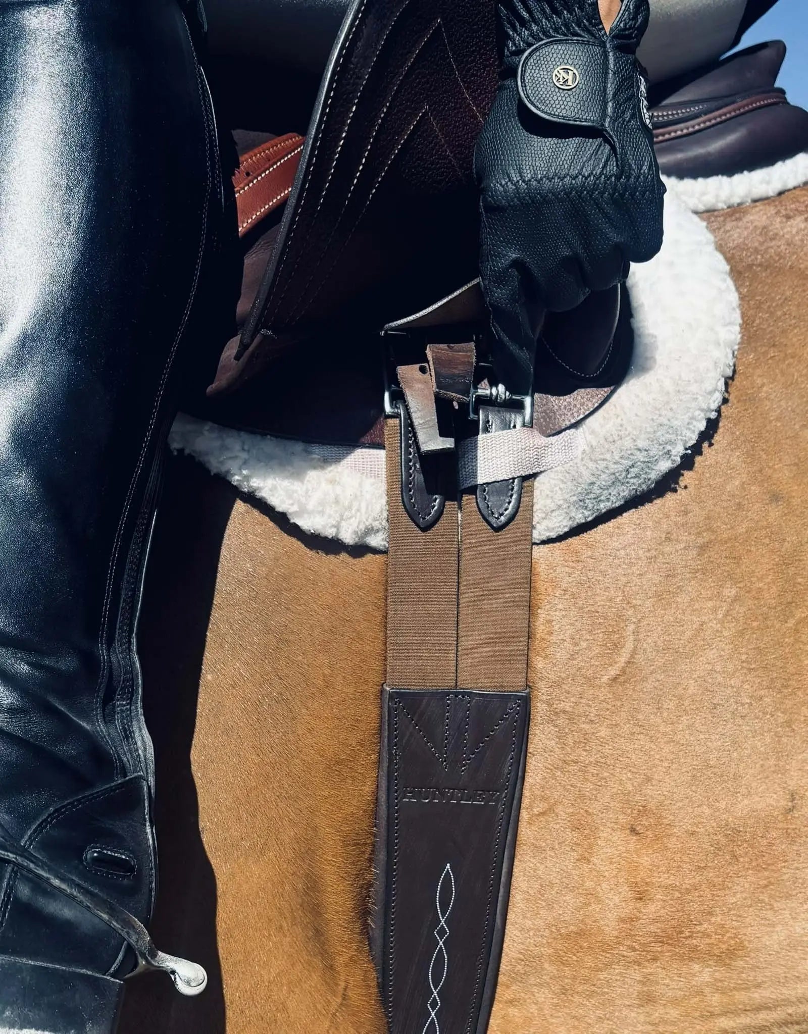 Cincha de cuero Huntley Equestrian Sedgwick con costuras decorativas y acolchada con forma contorneada y elástico en ambos extremos