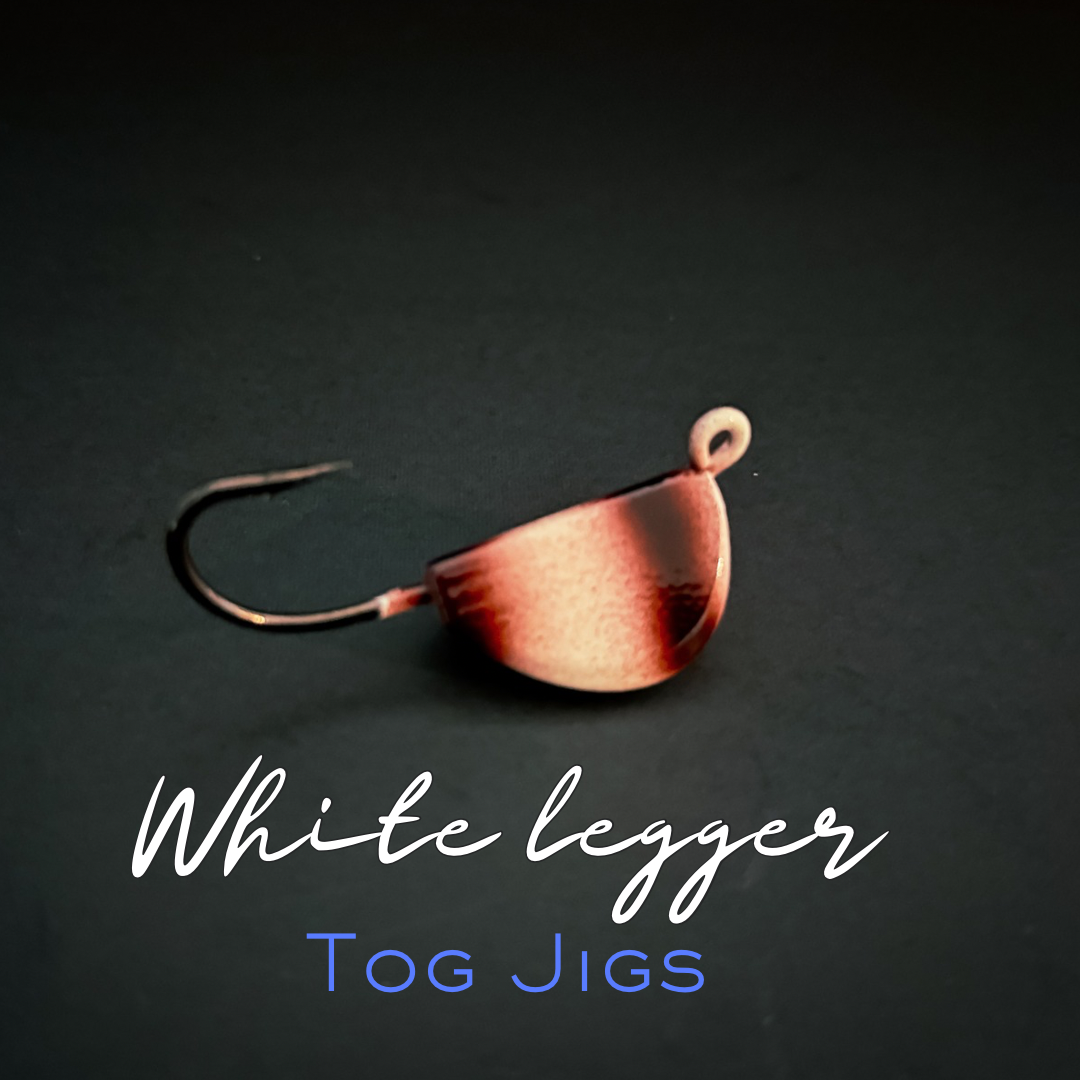Magictail Game Changer Series Jigs Tog