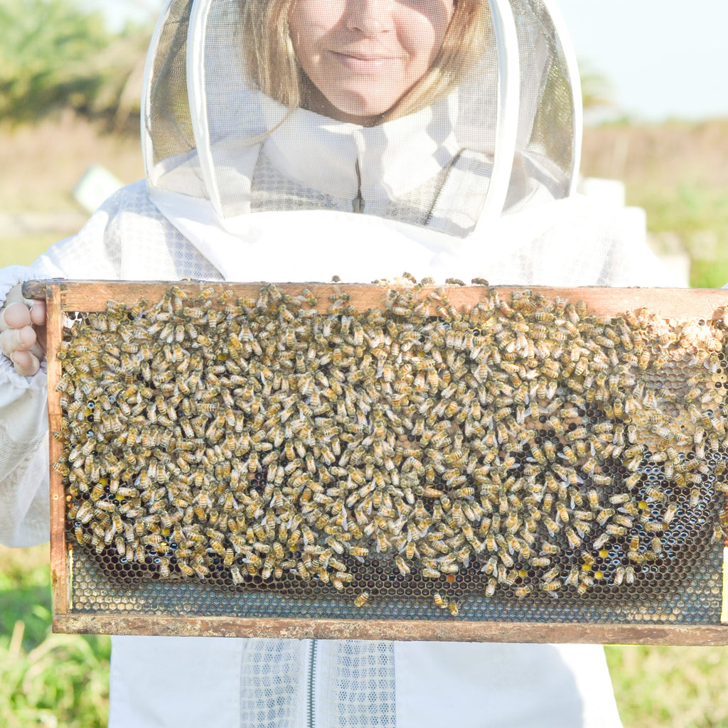 Barra de Jabón Artesanal de Sebo y Leche de Cabra Sin Fragancia Milk + Honey