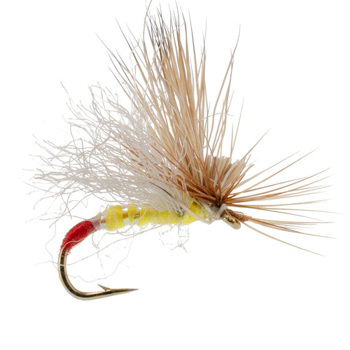 3 Pack Yellow Sally Missing Link Stonefly Flies Hook Size 16