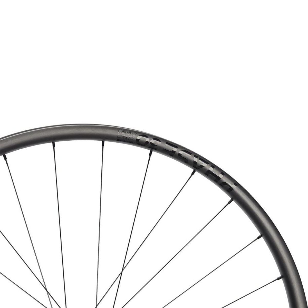 NEWMEN - Wheel (Front) - Phase 30 Light | Cross Country - [D]
