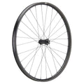 NEWMEN - Wheel (Front) - Phase 30 Base | Trail - [D]