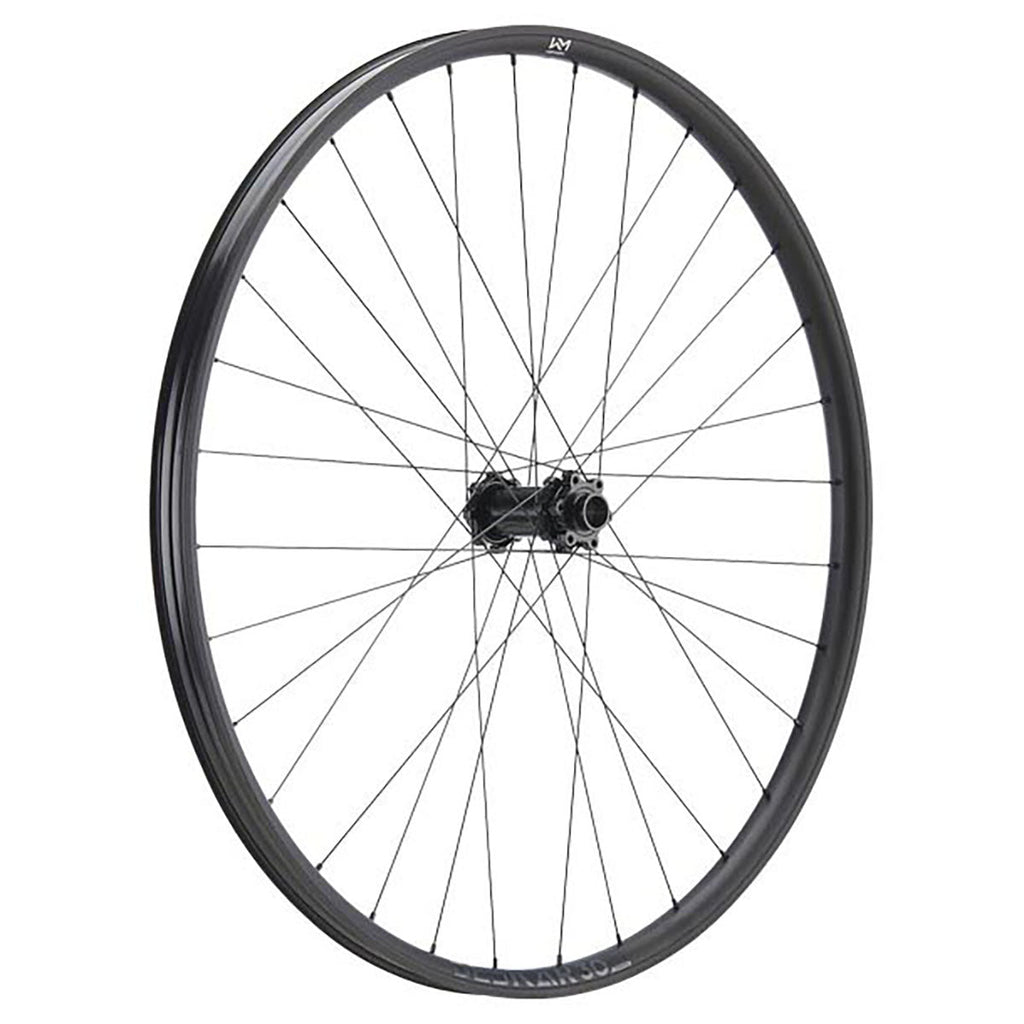 NEWMEN Front Wheel - Beskar 30 strong 29" 32h FADE SP 6B 15-20x110 - Enduro