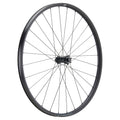 NEWMEN - Wheel (Front) - Forge 30 Light | Cross Country - [D]