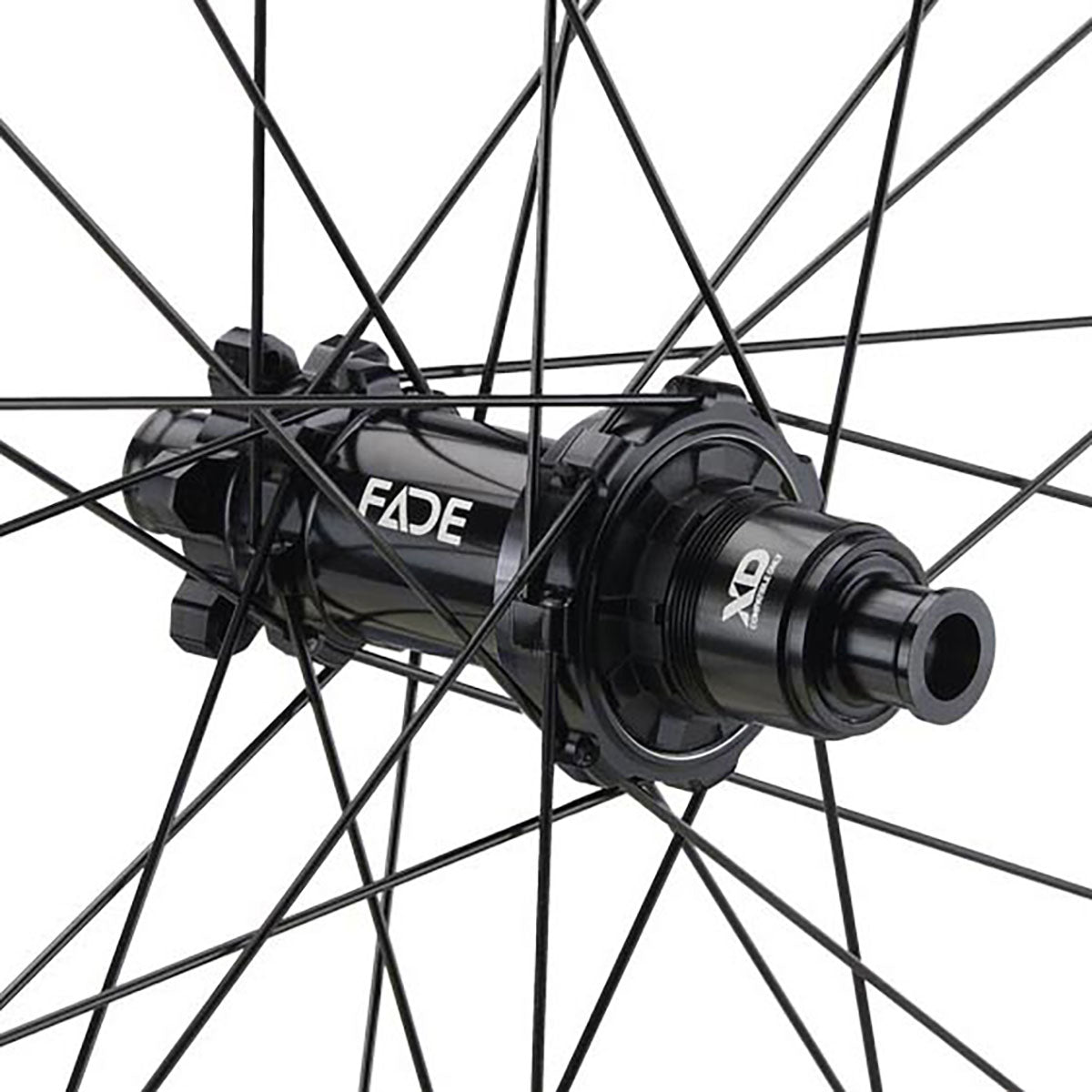 NEWMEN Rear Wheel - Phase 30 base 29" 28h FADE SP 6B 12x148 XD - Trail