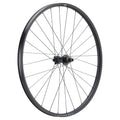 NEWMEN - Wheel (Rear) - Forge 30 Base | Trail - [D]