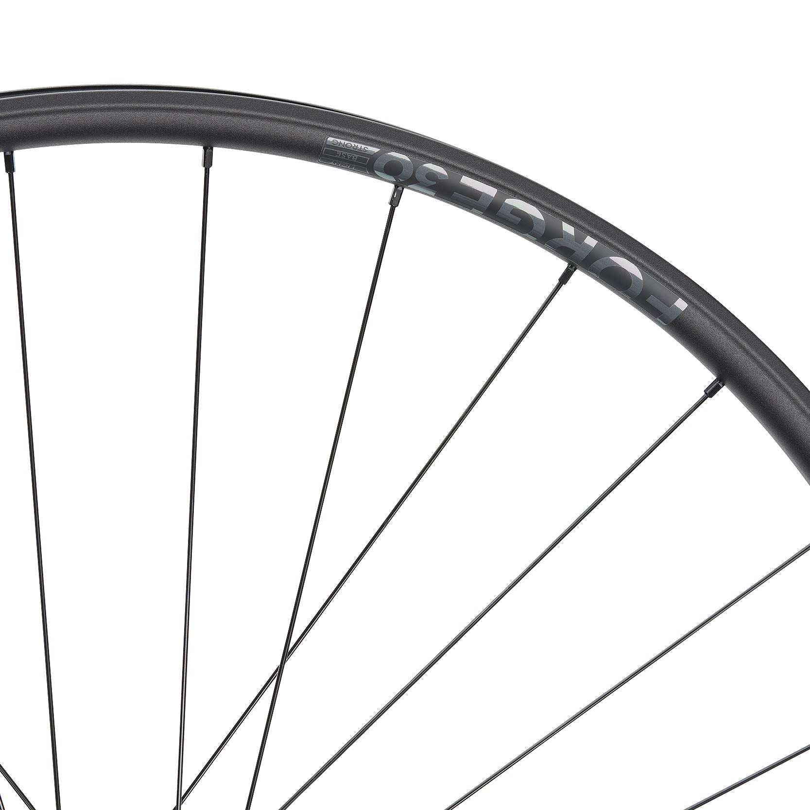NEWMEN - Wheel (Rear) - Forge 30 Strong | Enduro - [D]