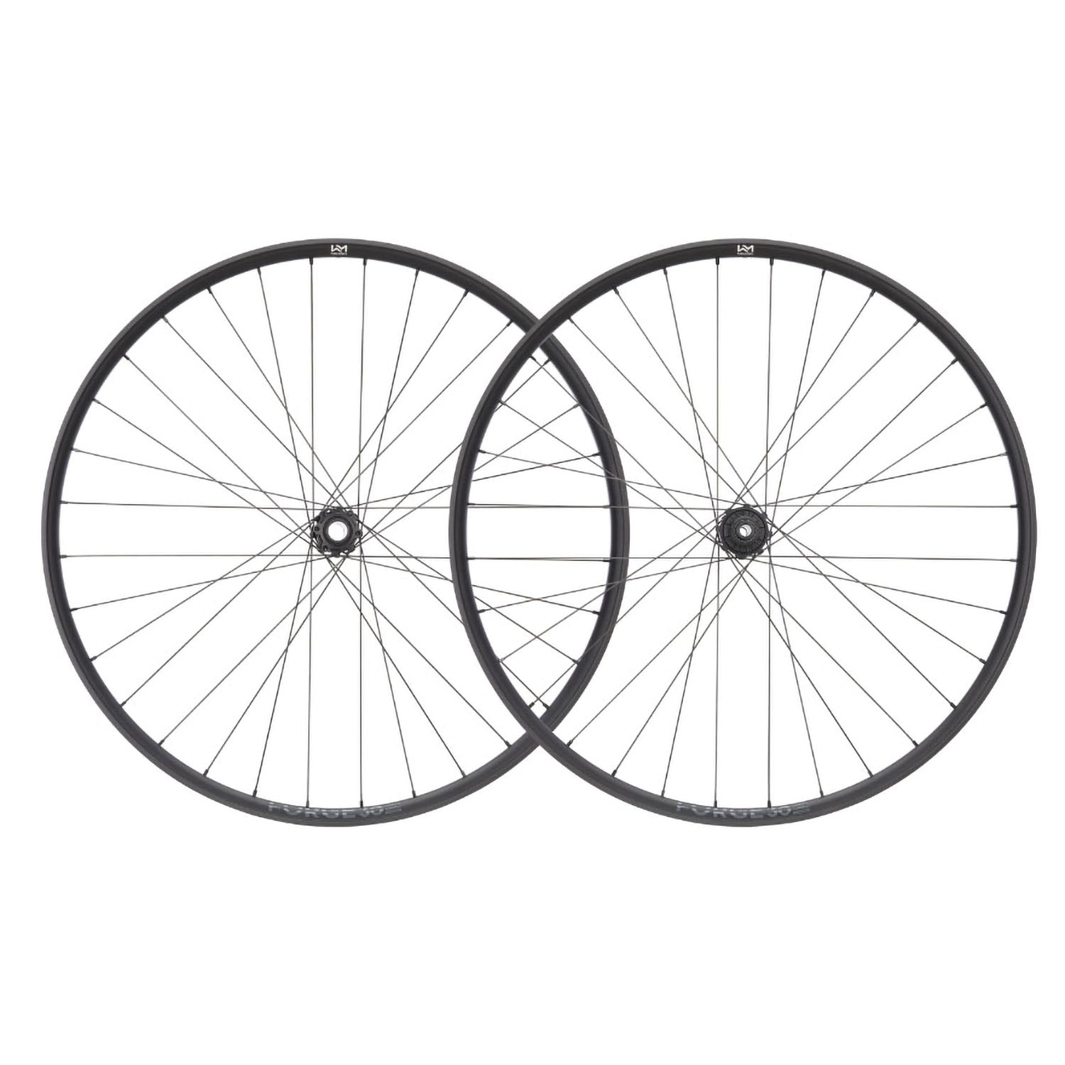 NEWMEN Wheelset - Forge 30 DH (Front Wheel - ong 29" 32h FADE SP 6B 15-20x110 / Rear Wheel ong 29" 32h FADE SP 6B 12x148 XD)