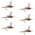 Hares Ear Parachute Classic Dry Fly - 6 Flies Hook Size 12