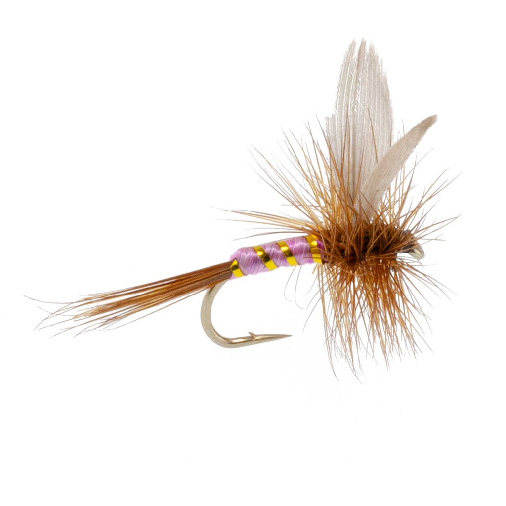 Pink Lady Classic Dry Fly - 12 Flies Size 16