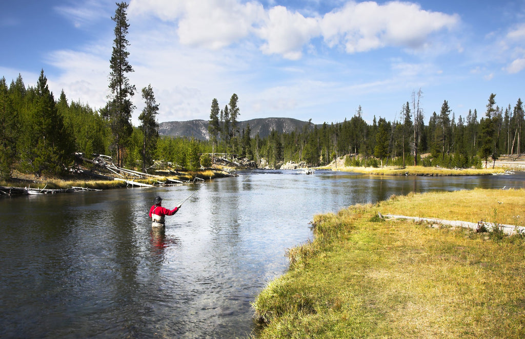 Olive Zebra Sakasa Kebari - 6 Tenkara Flies - Size 14