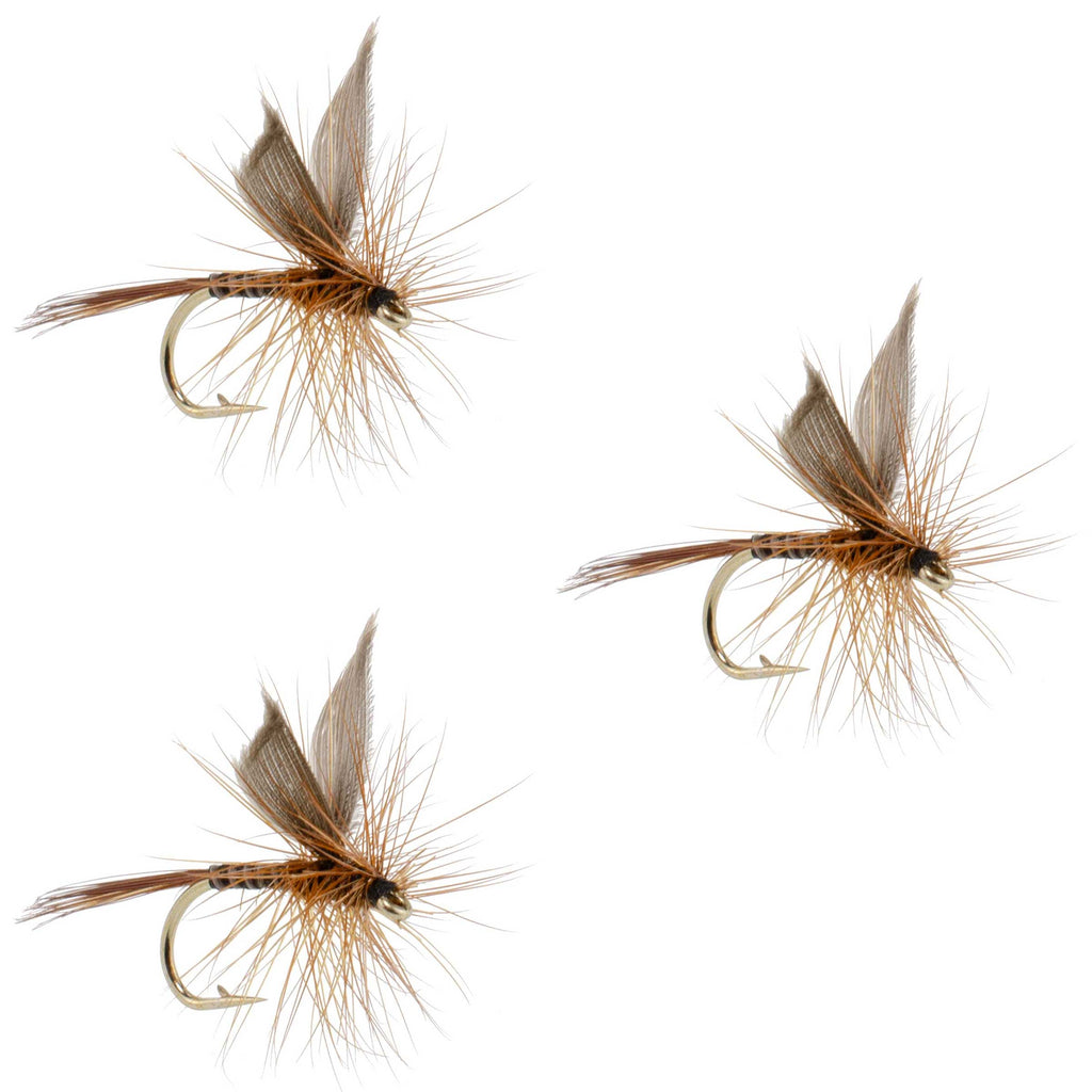 3 Pack Red Quill Classic Dry Fly - Size 12