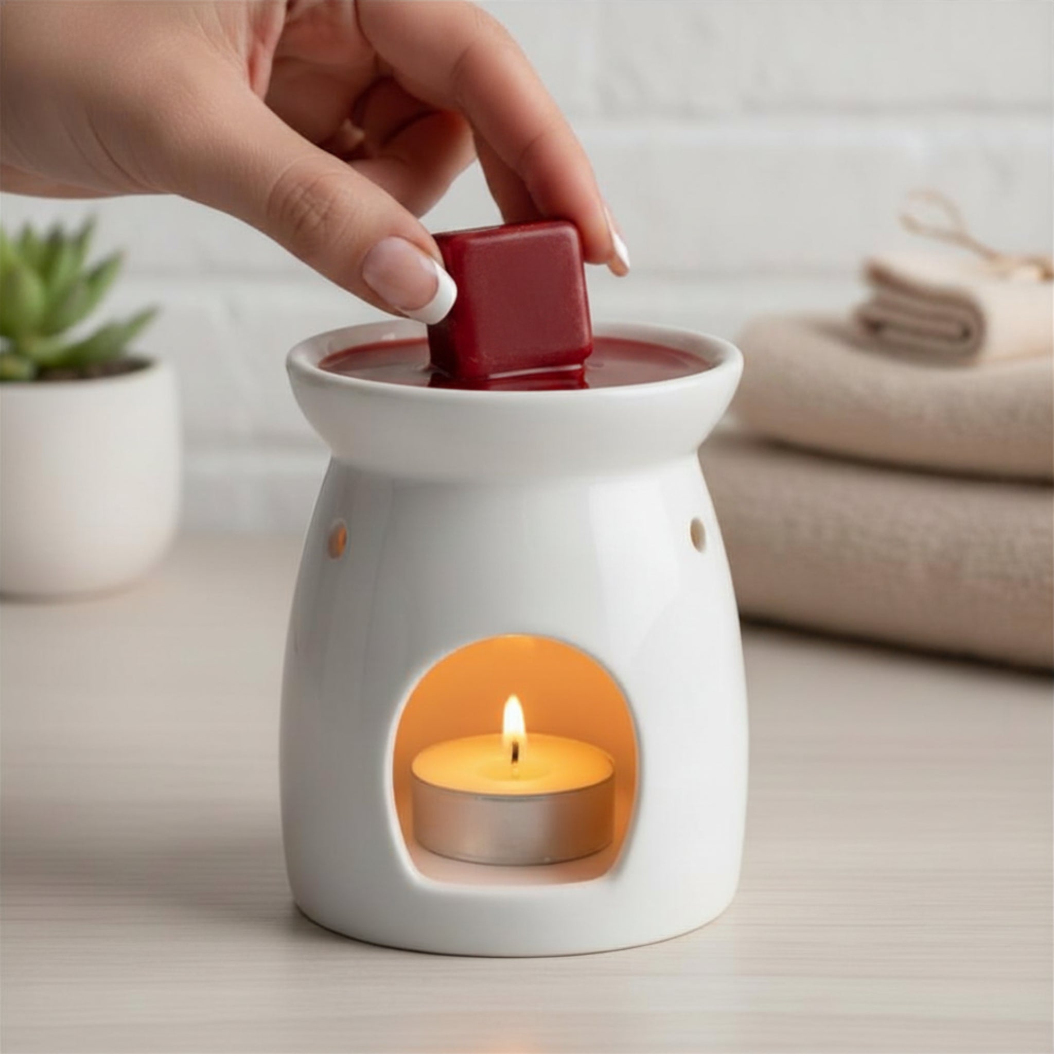 Dark Currant & Star Anise | Wax Melts