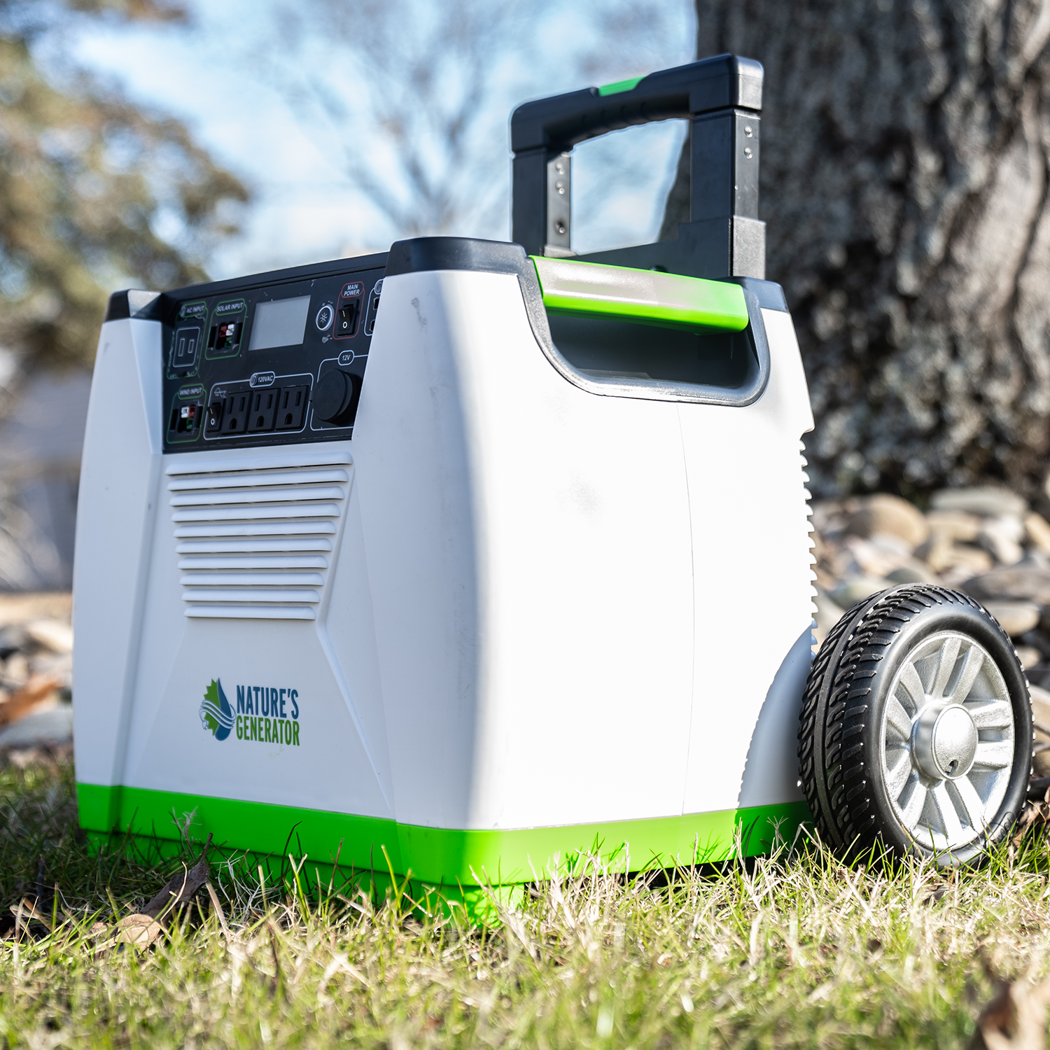 Nature's Generator Oro - Sistema WE