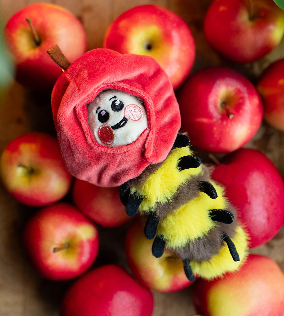 Kaleidos Creative: Wooly Bear and Friends Plush Keychain Blind Box
