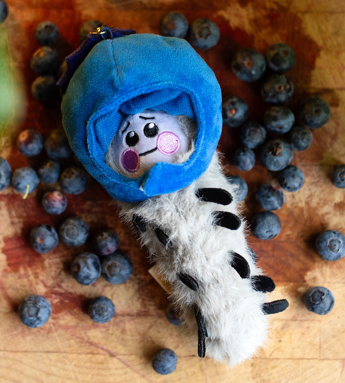 Kaleidos Creative: Wooly Bear and Friends Plush Keychain Blind Box
