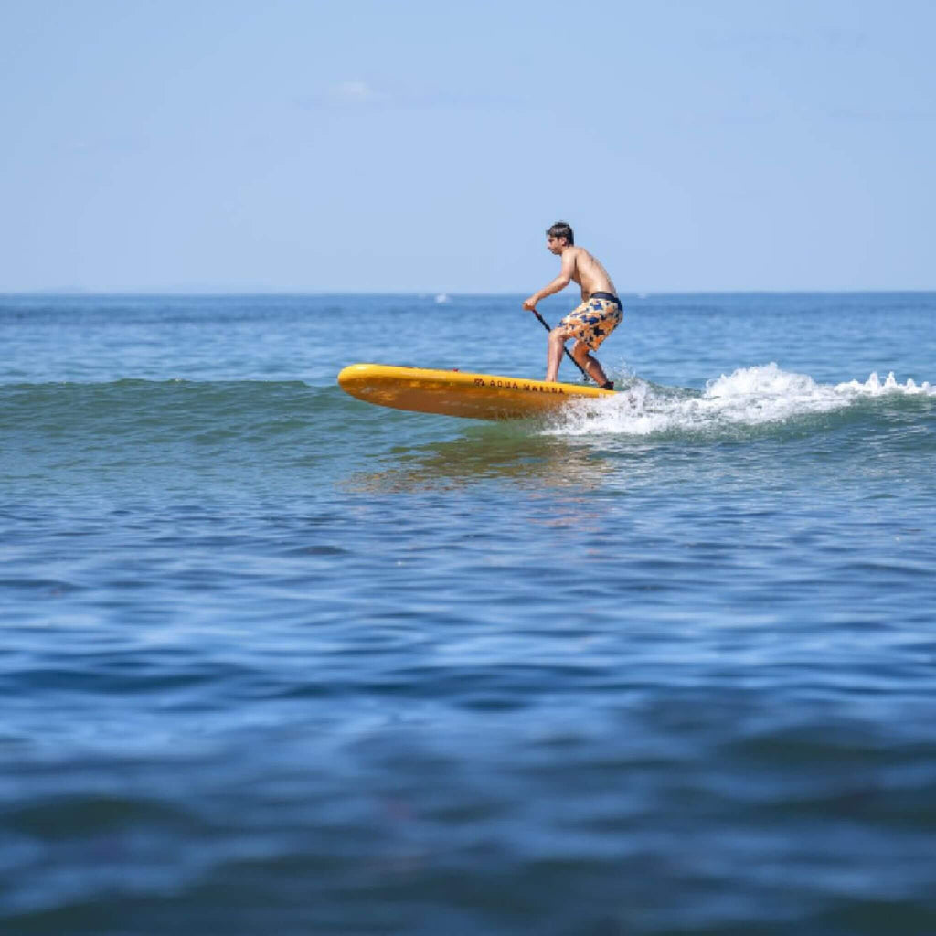 Aqua Marina Fusion 10FT Tabla de Paddle Surf All-Around Premium con Capas de Riel de PVC Duradero y Almohadilla de EVA Ranurada [BT-23FUP] (SAK37195)
