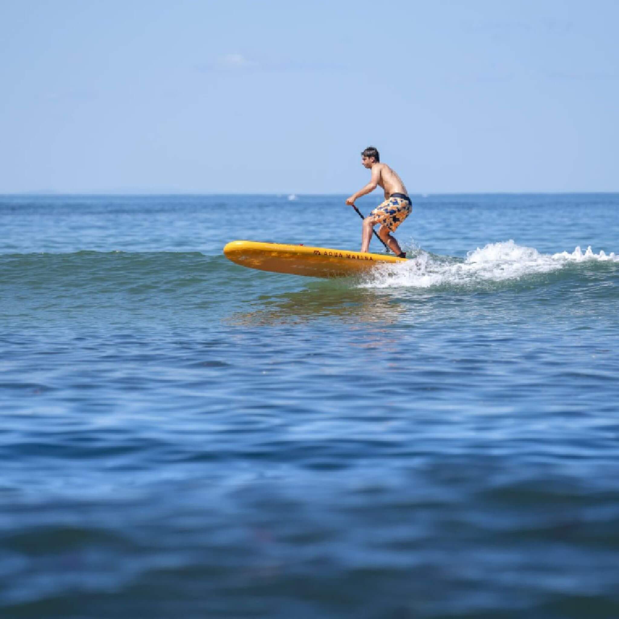 Aqua Marina Fusion 10FT Tabla de Paddle Surf All-Around Premium con Capas de Riel de PVC Duradero y Almohadilla de EVA Ranurada [BT-23FUP] (SAK37195)