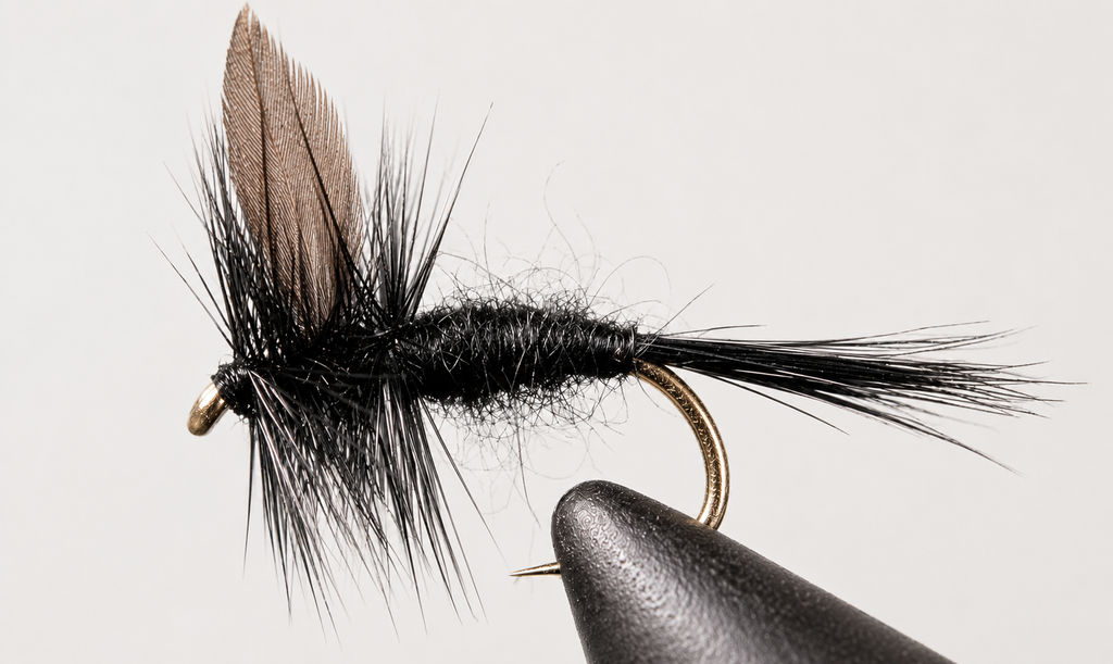 Black Gnat - Black Tail or Red Tail